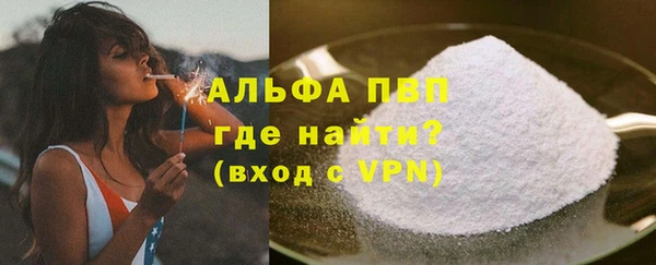 индика Абаза