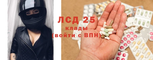 гидра Алексеевка