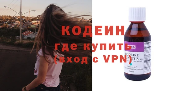 индика Абаза