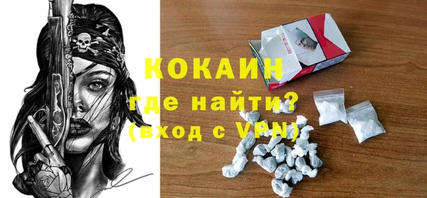 индика Абаза