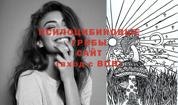 стафф Алексин