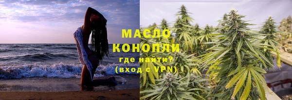 индика Абаза
