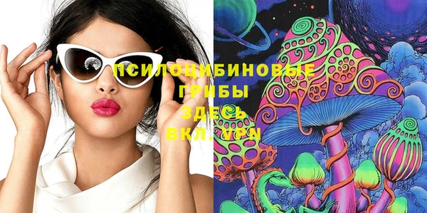 стафф Алексин