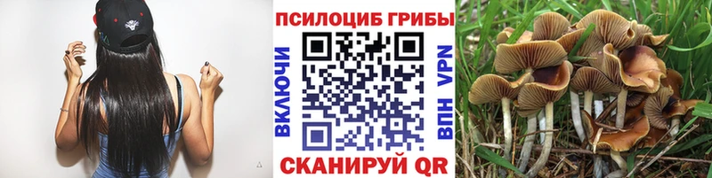 Псилоцибиновые грибы MAGIC MUSHROOMS купить наркотик Усть-Илимск