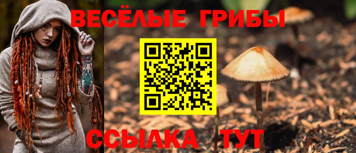 продажа наркотиков  Вход с VPN  Псилоцибиновые грибы мицелий  Усть-Илимск  Галлюциногенные грибы Cubensis 